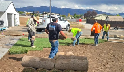Sod Installation